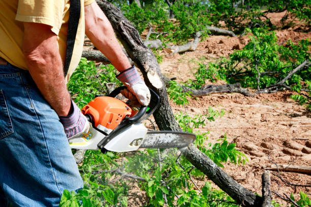 Lawn Irrigation Installation and Maintenance in Burns Harbor, IN